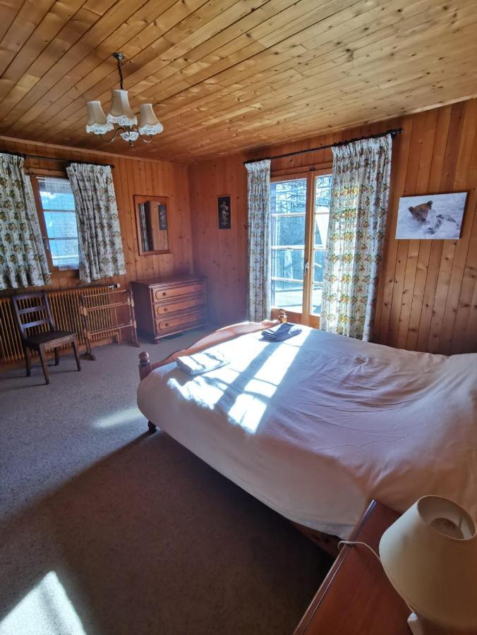 Chalet Traditionnel Avec Jacuzzi Exterieur Bex Εξωτερικό φωτογραφία